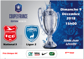 COUPE DE FRANCE 2018-2019