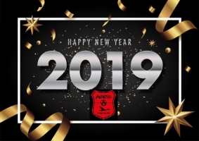 Voeux 2019