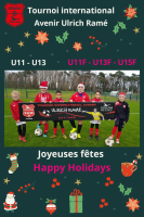 Joyeuses Fêtes